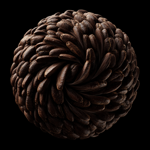 Coffee Beans Sphere thumbnail 3