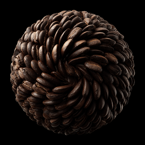 Coffee Beans Sphere more variants